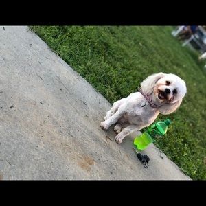 Meet your Posher, Ladericka